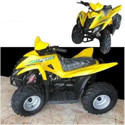 WINNER 80CC